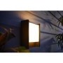 Philips Hue Outdoor Fuzo Slim Wall Light