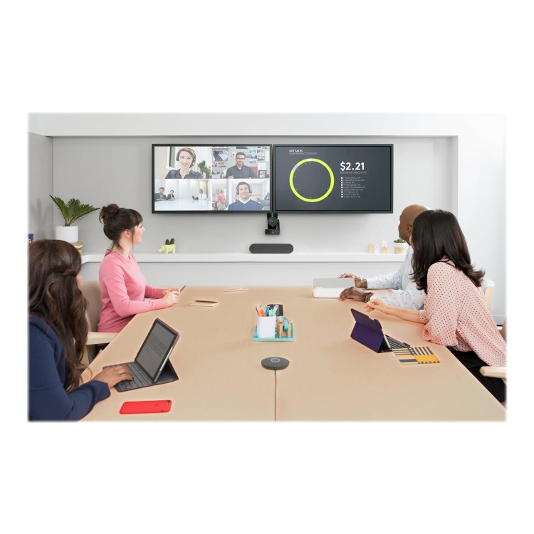 Logitech Rally Speaker