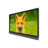BenQ RP653K 65&quot; 4K Ultra HD Interactive Touchscreen Display