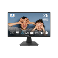 MSI PRO MP252L 25" Full HD IPS 100Hz 1ms Monitor