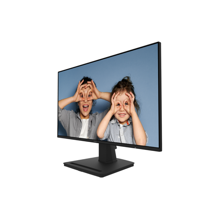 MSI PRO MP252L 25" Full HD IPS 100Hz 1ms Monitor