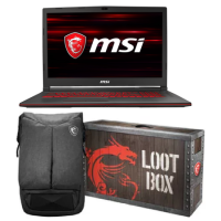 MSI GL73 9SD Core i7-9750H 16GB 256GB SSD 1TB 17.3 Inch FHD GeForce GTX 1660Ti  Windows 10 Home Gaming Laptop