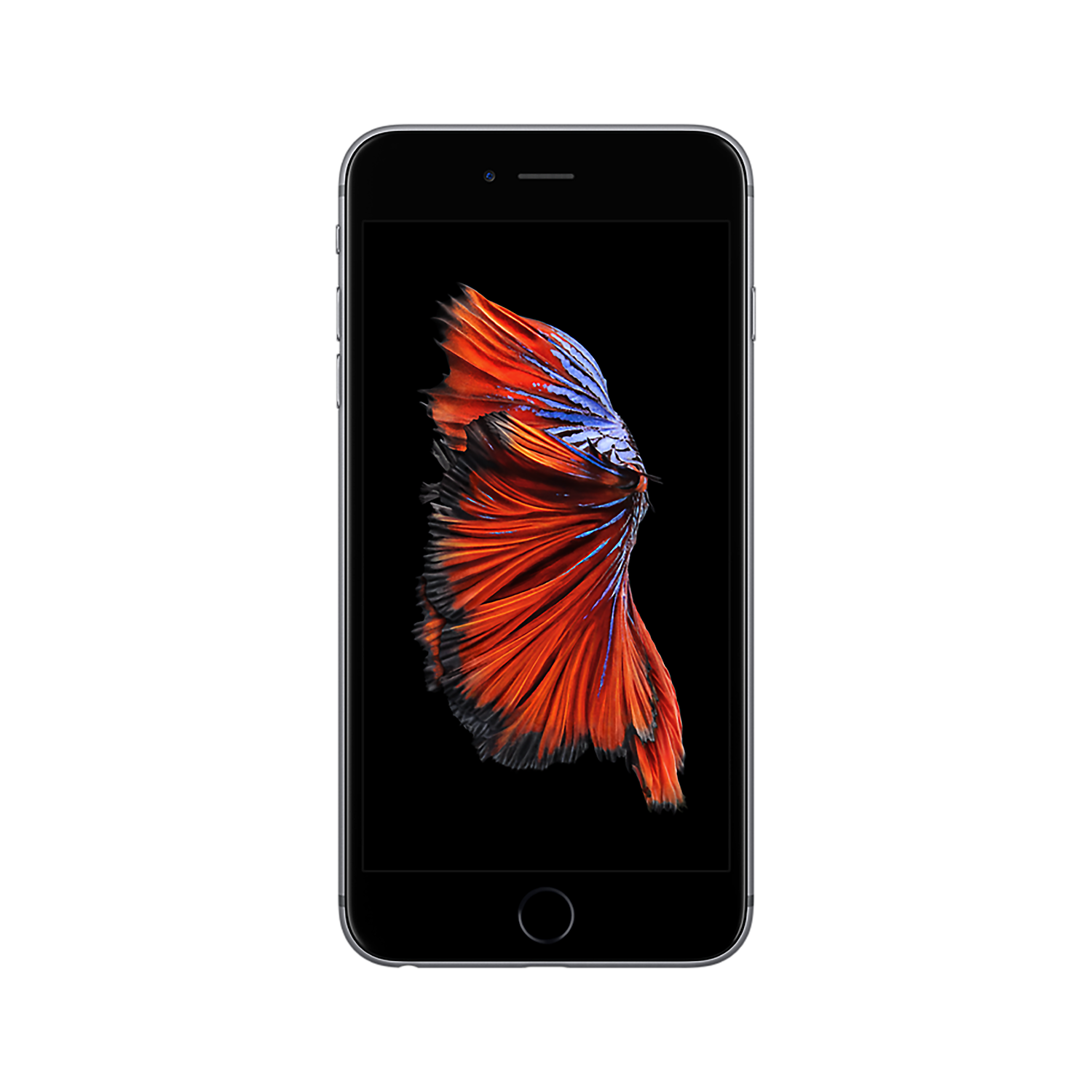 Grade A3 Apple Iphone 6s Plus Space Grey 5 5 64gb 4g Unlocked Sim Free Laptops Direct Grade A3 Apple Iphone 6s Plus Space Grey 5 5 64gb 4g Unlocked Sim Free Laptops Direct