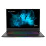 MEDION Beast X25 Ryzen 7-5800H 32GB 1TB SSD 17.3 Inch QHD 165Hz GeForce RTX 3080 16GB Windows 10 Laptop