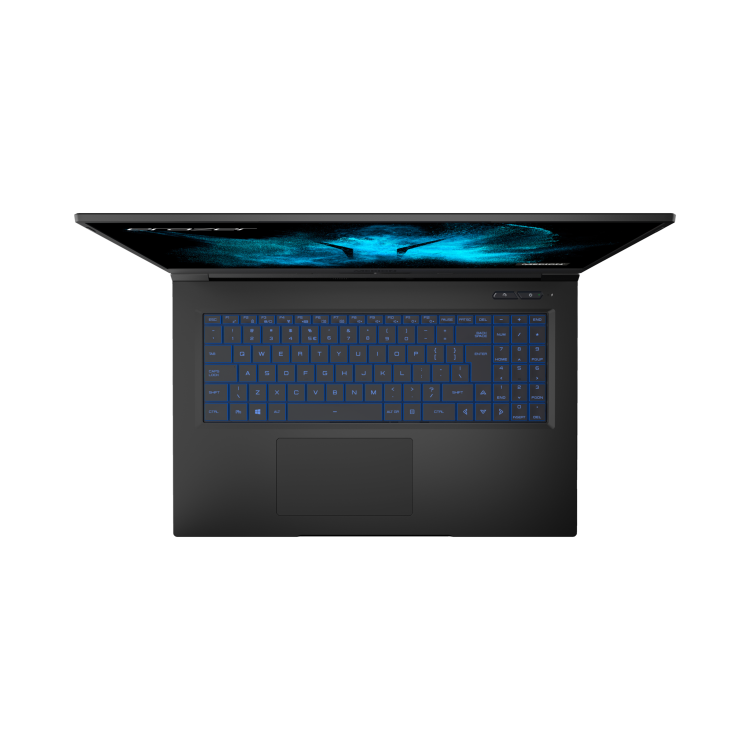 MEDION Beast X25 Ryzen 7-5800H 32GB 1TB SSD 17.3 Inch QHD 165Hz GeForce RTX 3080 16GB Windows 10 Laptop