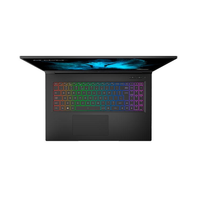 MEDION Beast X25 Ryzen 7-5800H 32GB 1TB SSD 17.3 Inch QHD 165Hz GeForce RTX 3080 16GB Windows 10 Laptop