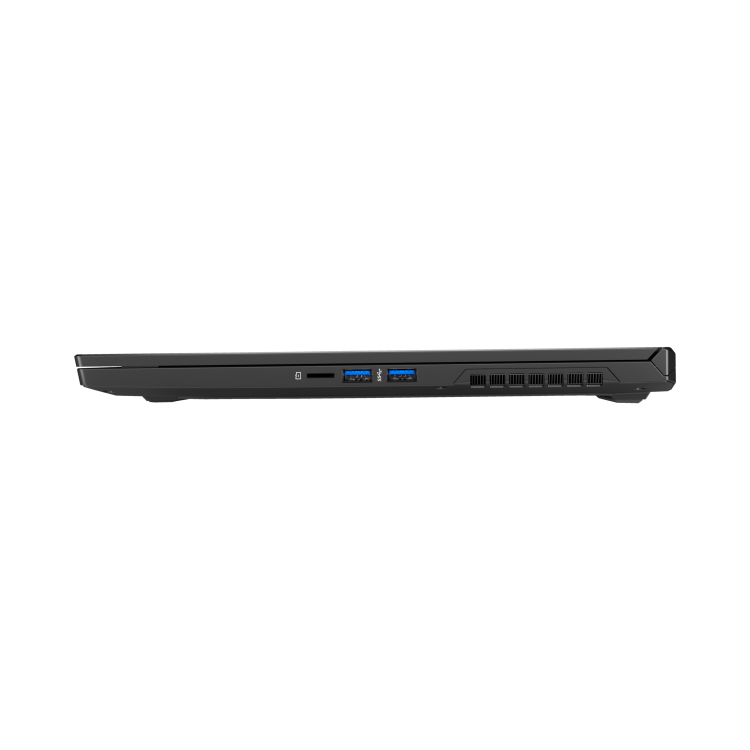 MEDION Beast X25 Ryzen 7-5800H 32GB 1TB SSD 17.3 Inch QHD 165Hz GeForce RTX 3080 16GB Windows 10 Laptop