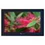 Aqualite AQLS-42 42 Inch Weatherproof LCD TV