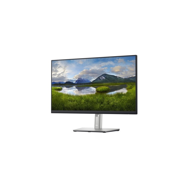 Dell P2422H 23.8" IPS Full HD Monitor