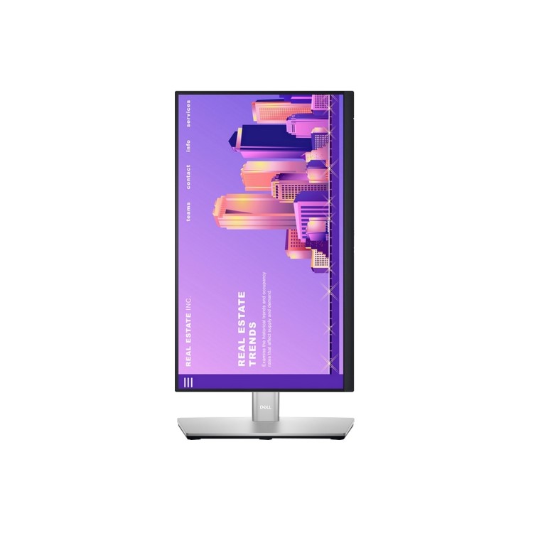 Dell P2422H 23.8" IPS Full HD Monitor