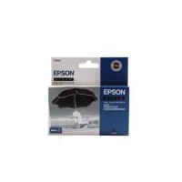Epson T0441 - print cartridge
