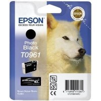 Epson T0961 - print cartridge