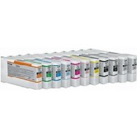 Epson - Print cartridge - 1 x photo black - for Stylus Pro 4900