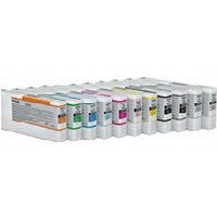 Epson - Print cartridge - 1 x orange - for Stylus Pro 4900