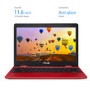 Asus C223NA Intel Celeron N3350 4GB 32GB eMMC 11.6 Inch Chrome OS Chromebook - Red