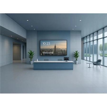 Viewsonic 55 LED COMM DISPLAY 3840X2160