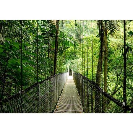 HP EliteBook 6 AMD Ryzen 5 24GB RAM 512GB SSD 16 Inch Windows 11 Pro Laptop