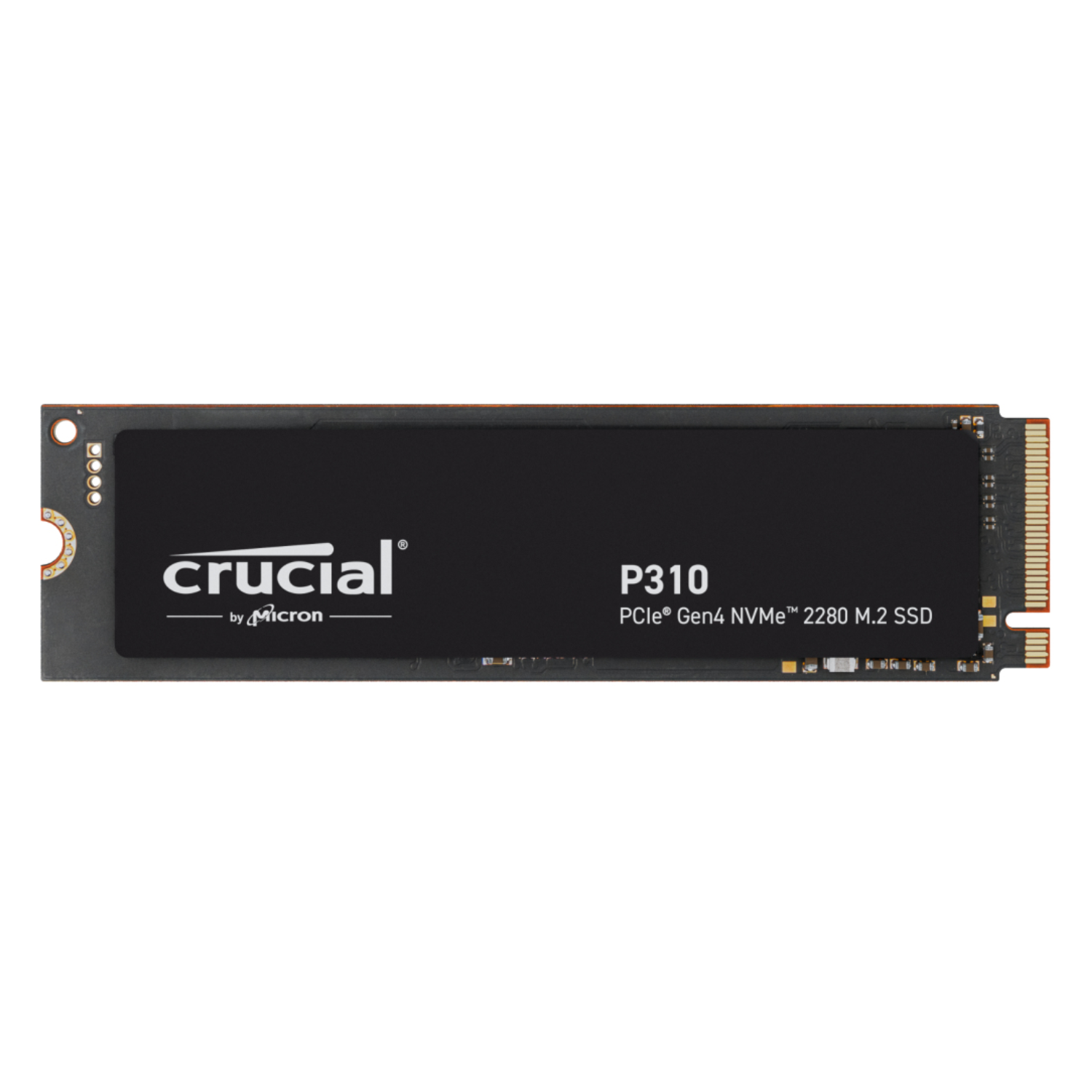 P310 M.2 2280 Internal SSD