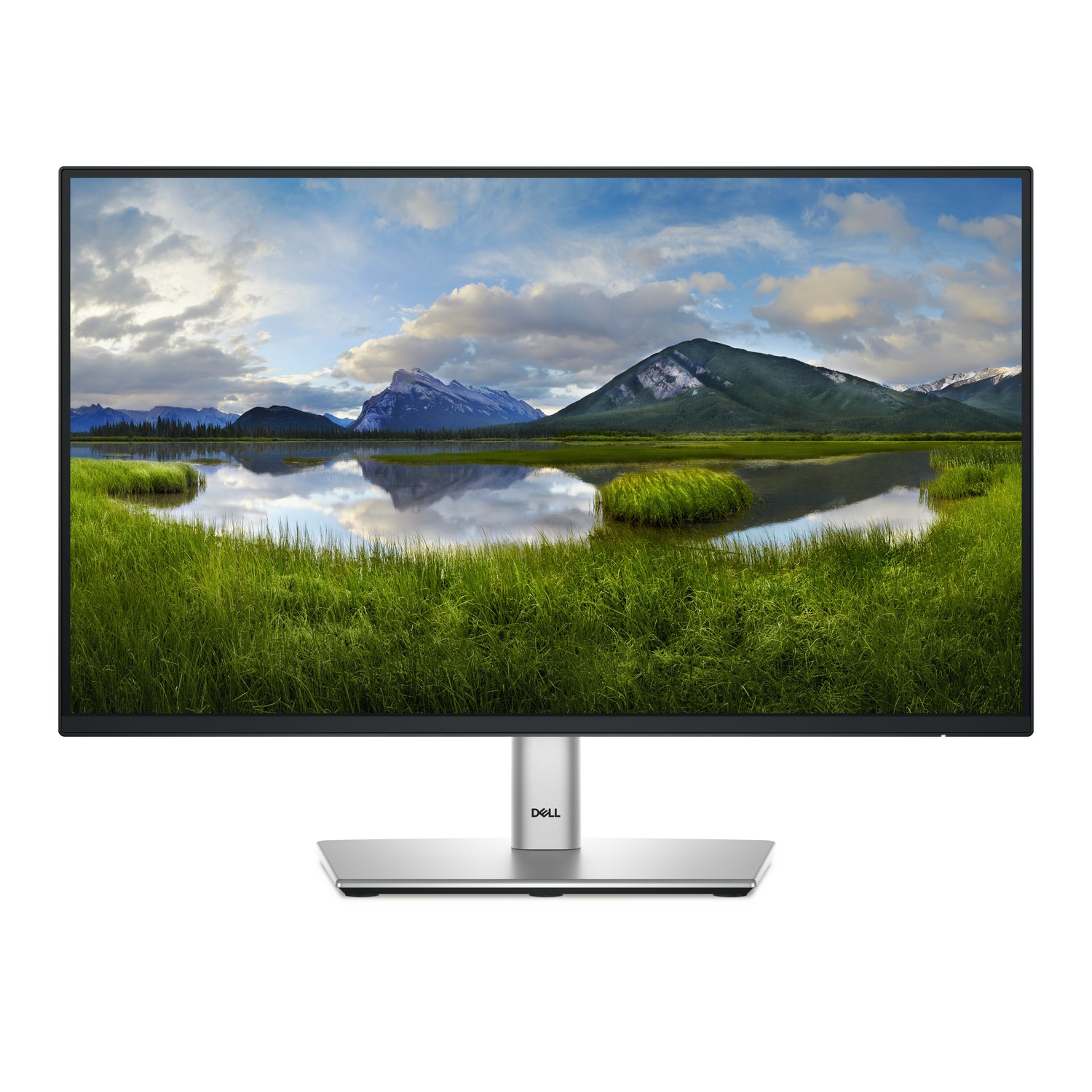 Dell P2225h 21.5 Ips Full Hd 100Hz Monitor Silver