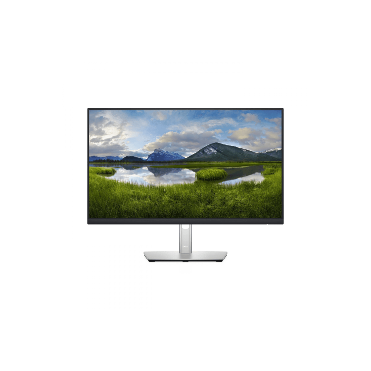Dell P2422HE 23.8" IPS Full HD USB-C Monitor 