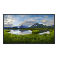 Dell P2425HWO 24" IPS Full HD 100Hz without stand Monitor