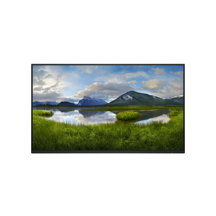 Dell P2425HWO 24" IPS Full HD 100Hz without stand Monitor