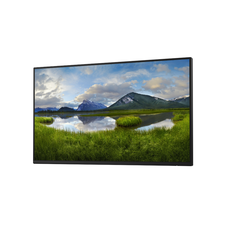 Dell P2425HWO 24" IPS Full HD 100Hz without stand Monitor