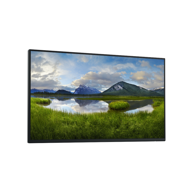 Dell P2425HWO 24" IPS Full HD 100Hz without stand Monitor