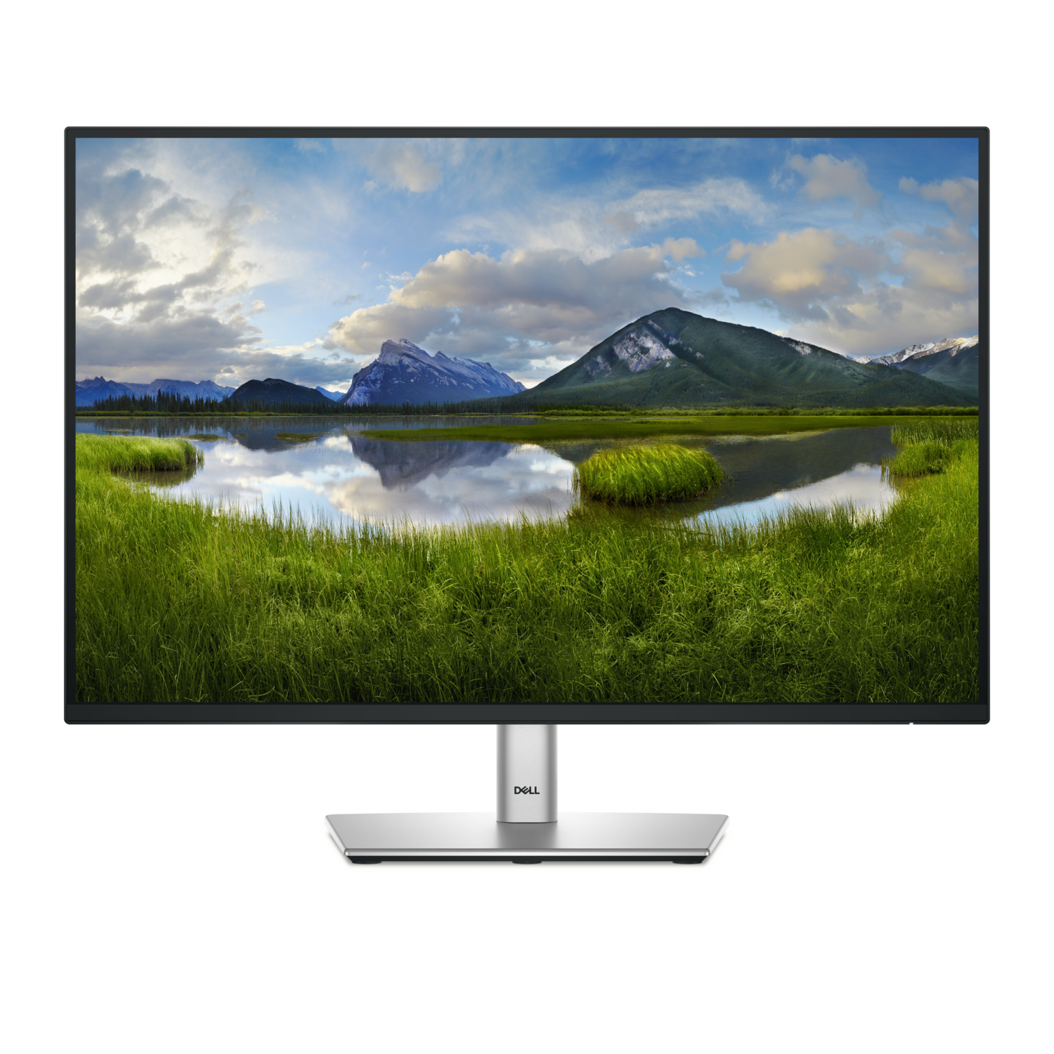 Dell P2425 24 Ips Wuxga 100Hz Monitor Black
