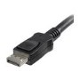 3m DisplayPort Cable - Standard DP to DP - M/M