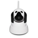 Monitor your pets activity from anywhere!