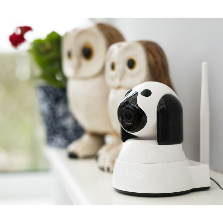 electriQ HD 720p Wifi Pet Monitoring Pan Tilt Zoom Camera with 2-way Audio & dedicated App