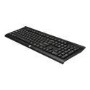 Hewlett Packard HP WIRELESS KEYBOARD K2500