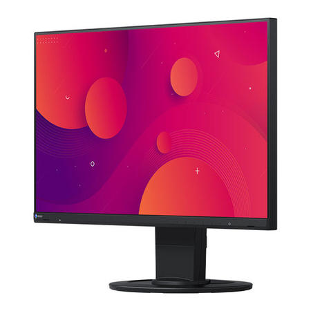 EIZO EV2460-BK 24" IPS Full HD Monitor 