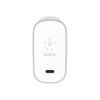 Belkin 45w USB-C Home Charger &amp; USB-C Cable - Silver