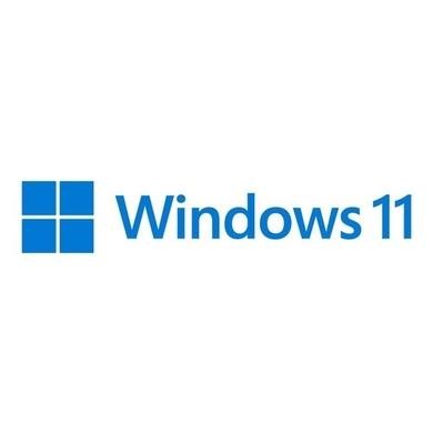 Microsoft Windows 11 Professional 64bit English OEM DVD Operating Software