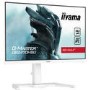 iiyama G-Master GB2470HSU 23.8" Full HD 165Hz IPS Gaming Monitor