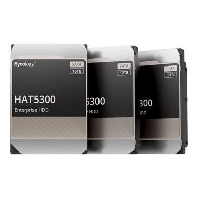 Synology HAT5300-12T 12TB HDD
