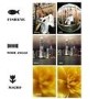 3in1 Camera Lens Attachments for Perfect Mobile Phone Pictures - FishEye +  WideAngle + Macro