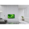 Sony W800P 32 Inch HD Ready HDR Android Smart TV