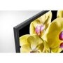 Graded A1 SONY BRAVIA KD55XG8096BU 55" Smart 4K Ultra HD HDR LED TV with Google Assistant
