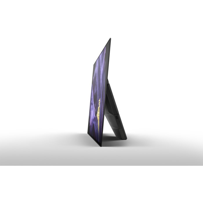 Sony Bravia KD65AF9 65" 4K Ultra HD HDR OLED Android Smart
