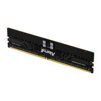 Kingston FURY Renegade Pro Expo 32GB 1x32GB DIMM 5600MHz DDR5 Desktop Memory
