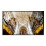 Samsung QB43R 43" UHD 4K HDR Large Format Display