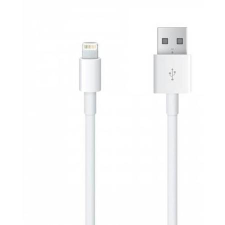 Apple Lightning to USB Cable 1m