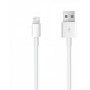 Apple Lightning to USB Cable 1m