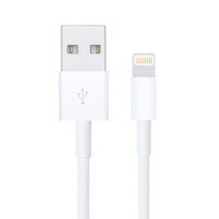 Apple Lightning to USB Cable 2M