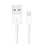 Apple Lightning to USB Cable 2M
