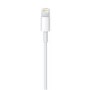 Apple Lightning to USB Cable 2M