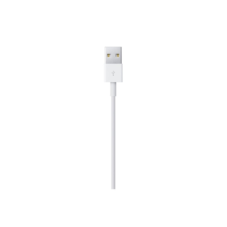 Apple Lightning to USB Cable 2M